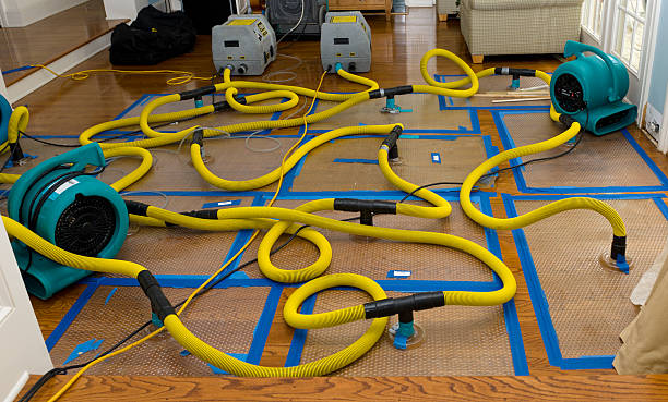 Professional Crawl Space Water Removal technician working in Montevallo, AL